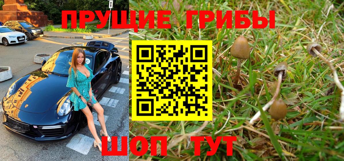 Псилоцибиновые грибы Cubensis  как найти закладки  Альметьевск  Вход с VPN 